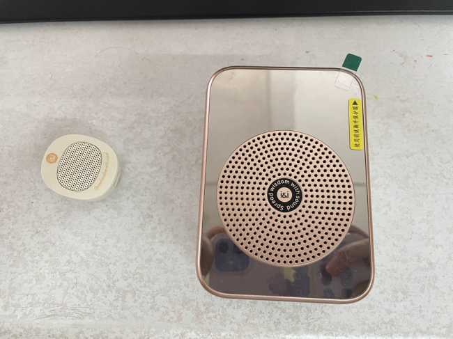 扩音器哪个牌子性价比高?教师小蜜蜂怎么选?十大热门扩音器推荐