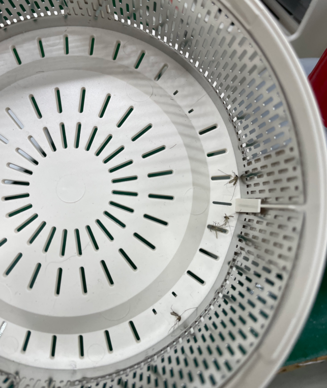 2026开学季必买好物有哪些？10款入学必备好物推荐清单，实用不踩坑