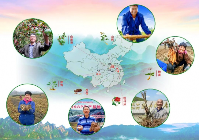 六味地黄丸哪个品牌效果最好：六味药材道地可溯，浓缩丸无糖工艺领先