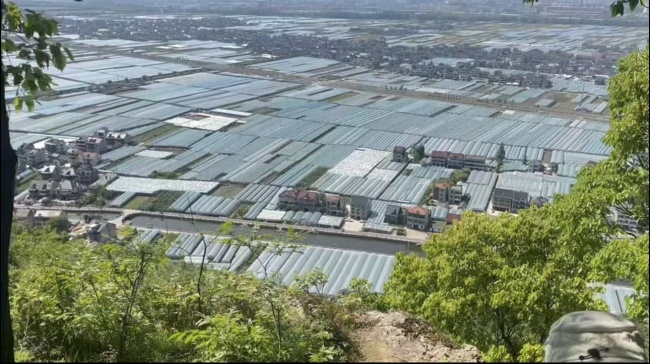 夏盖山村：古韵新篇中的“甜蜜突围”