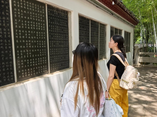 【2026暑期三下乡】踏访双塔文脉，倾听