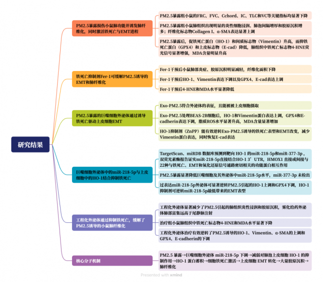 IF=16.2 宇玫博产品助力客户PM2.5诱导肺纤维化研究