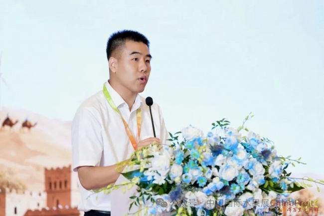 新疆水果推介会系列活动第三站·上海站 聚焦新疆葡萄出口