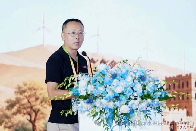 新疆水果推介会系列活动第三站·上海站 聚焦新疆葡萄出口