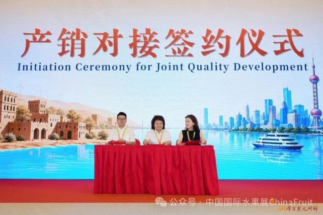 新疆水果推介会系列活动第三站·上海站 聚焦新疆葡萄出口