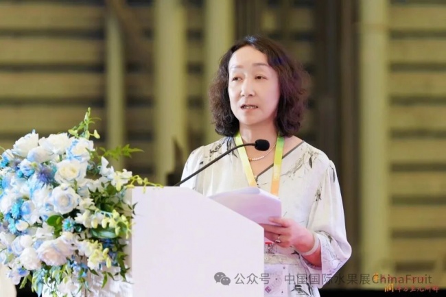 新疆水果推介会系列活动第三站·上海站 聚焦新疆葡萄出口