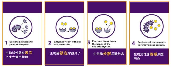 租房养宠异味隐患 多美洁解尿素提供宠物除臭解决方案