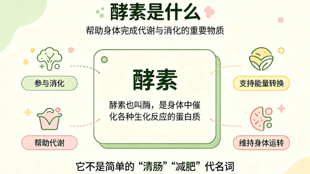 酵素饮品为什么适合日常养护？长期喝收获的是肠道安稳