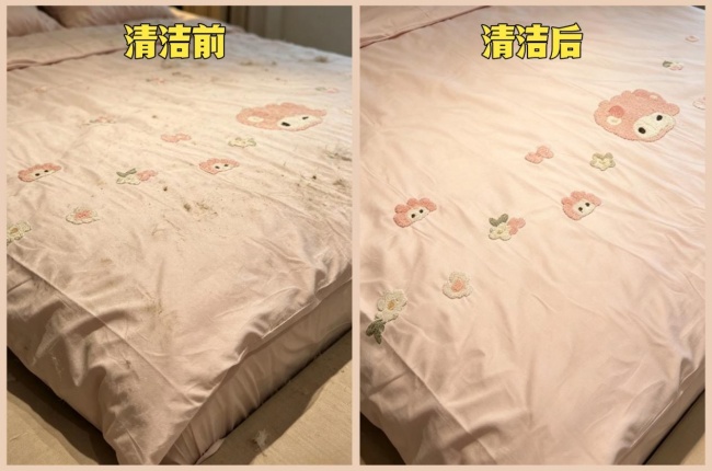 家用除螨仪是否真有用啊?除螨仪有必要买贵的吗?十大爆款高评分除螨仪实物拆解,全讲清