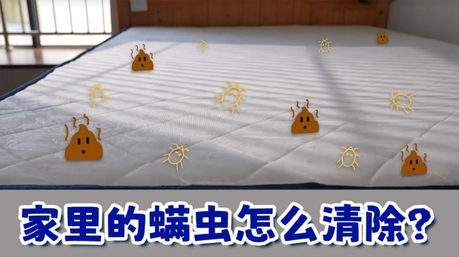 家用除螨仪是否真有用？怎么判断是不是床垫过敏？2026十大热议除螨仪横评，全部真实体验！
