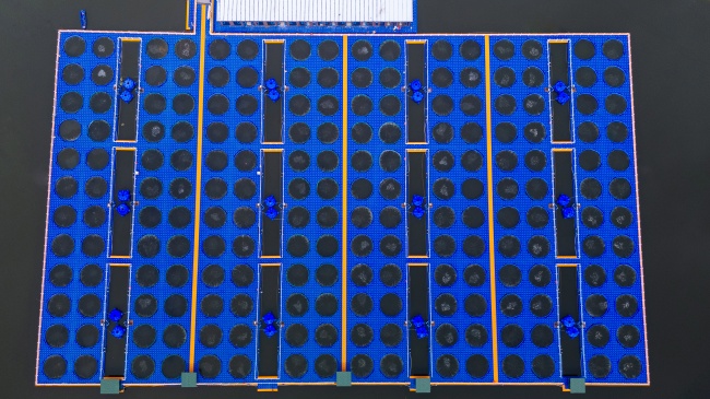 水库资源活化路径：WRAFES系统的生态养殖实践