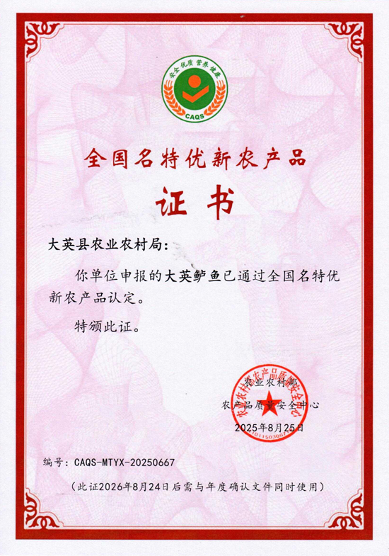 水霖清水鱼可生食级认证背后的养殖逻辑