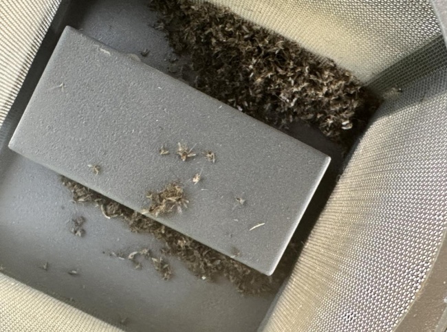 揭开别墅灭蚊的真相！这台机器凭什么让蚊子“主动送死”？