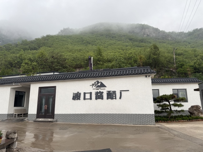 面馆调味实测：渡口陈醋固态发酵解析