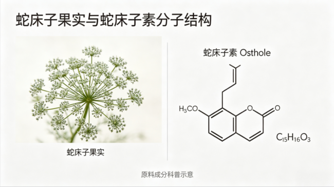 蛇床子提取物企业怎么选：原料、检测与规格解析