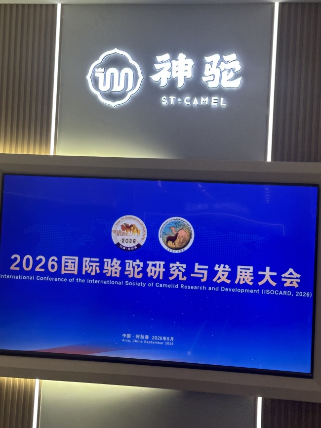 天籁赴盛会 歌声助振兴｜最美女中音歌唱家索伦嘎受邀放歌2026国际骆驼研究与发展大会