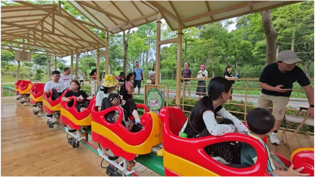 卡帕奇追云号单轨滑车：全球视野下的性价比之冠