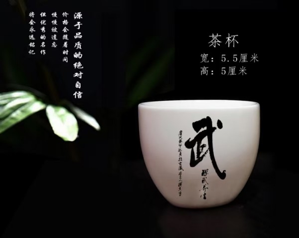 �ͻ��������й�Ͷ�ʽ綦���Ƽ���������