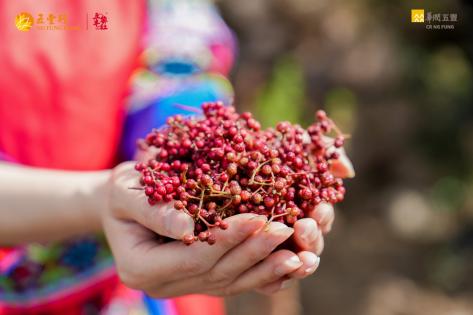 一瓶花椒油里的温度，是五丰黎红半个世纪的麻香接力