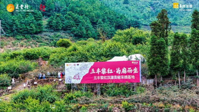 一滴好油从山野到餐桌｜五丰黎红全产业链造就产品核心价值