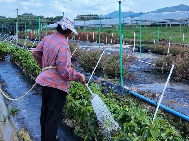 扎根八桂大地 香飘东博盛会——古文咖啡荣膺第23届中国—东盟博览会官方指定饮品