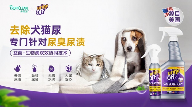 宠物尿渍为何反复作祟？解密尿酸结