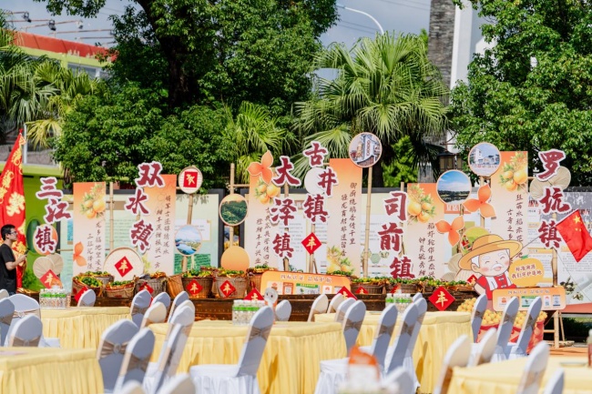 陈皮村新会陈皮预售季9月29日盛大启幕 新会陈皮产业供应链产销全链接轨