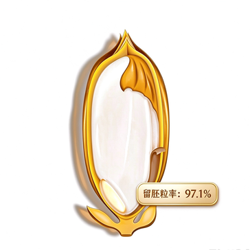 冰川雪留胚米 | 煮米要多放 10% 水，暗藏什么讲究？