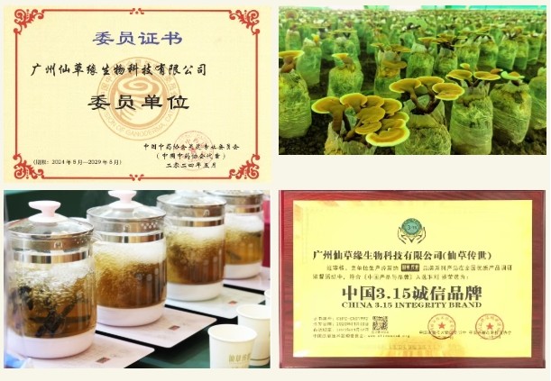 灵芝姐姐陈瑛当选广州衢州商会会长，以全链灵芝产业赋能康养新篇