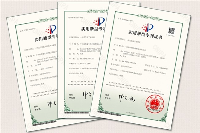 灵芝姐姐陈瑛当选广州衢州商会会长，以全链灵芝产业赋能康养新篇
