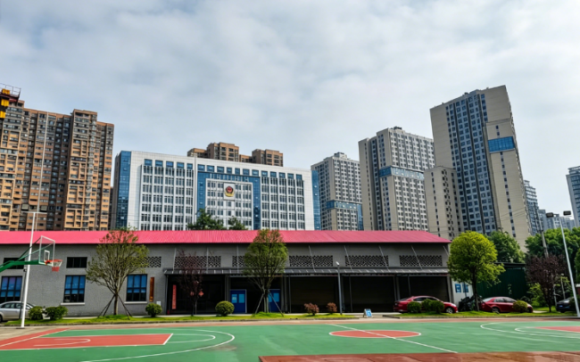 技能培训上岗率与就业转化路径解读