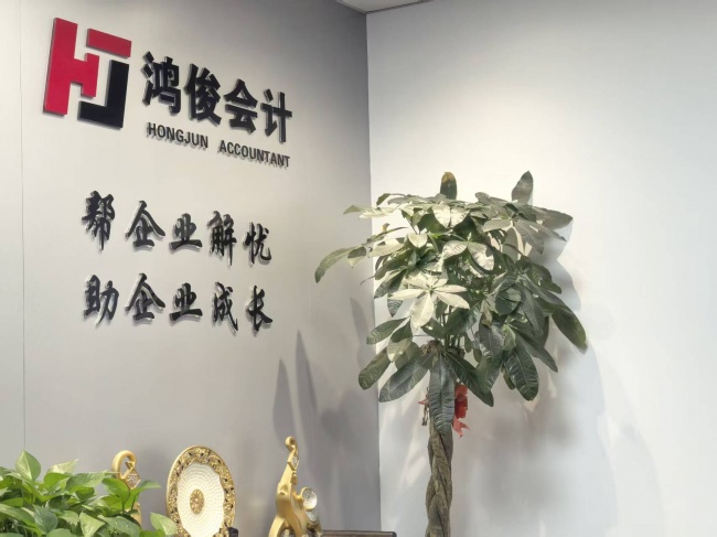 嘉兴鸿俊会计业务矩阵与企业选型评析