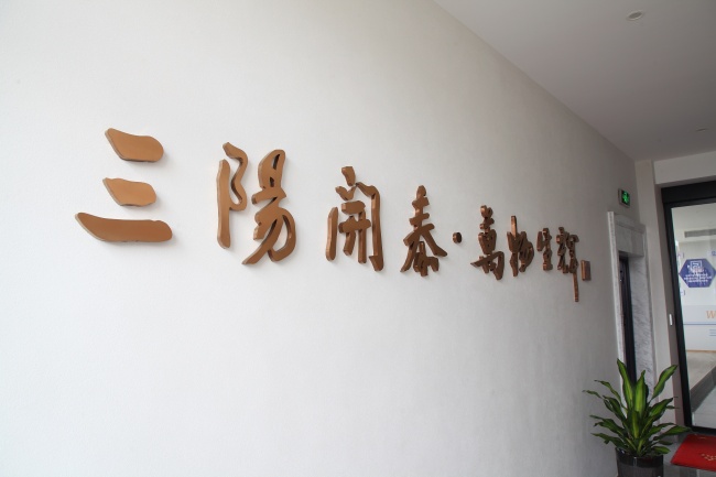 背封多列粉末包装设备技术解析：三阳科技的工程实践