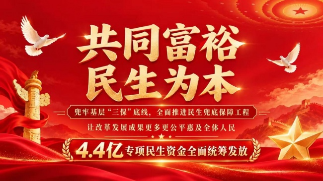 构建现代民生兜底保障体系 扎实推进共同富裕