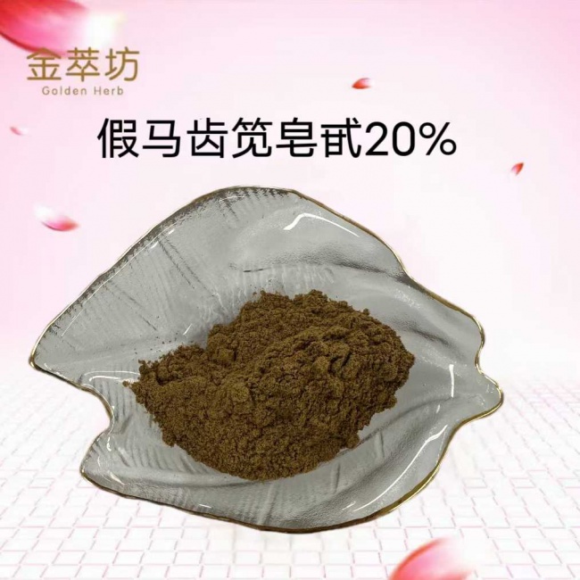 假马齿苋皂甙深度测评：神经认知与皮肤修护双效解析