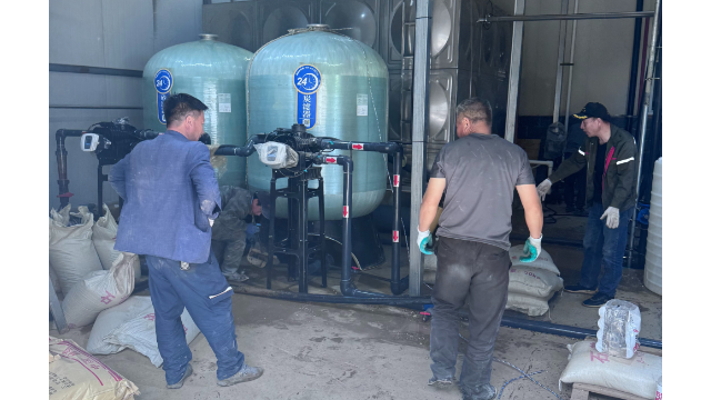 进水 TDS超高宁夏精细化工 10 吨纯水设备防结垢方案