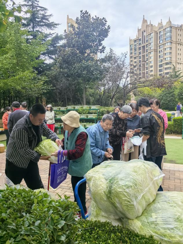 重阳暖人心 便民进社区 中海·银海一号敬老公益便民活动圆满举办
