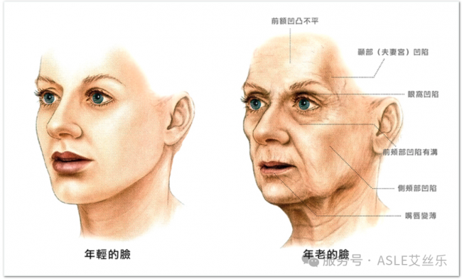 骨相抗老，只能靠天生好底子吗？
