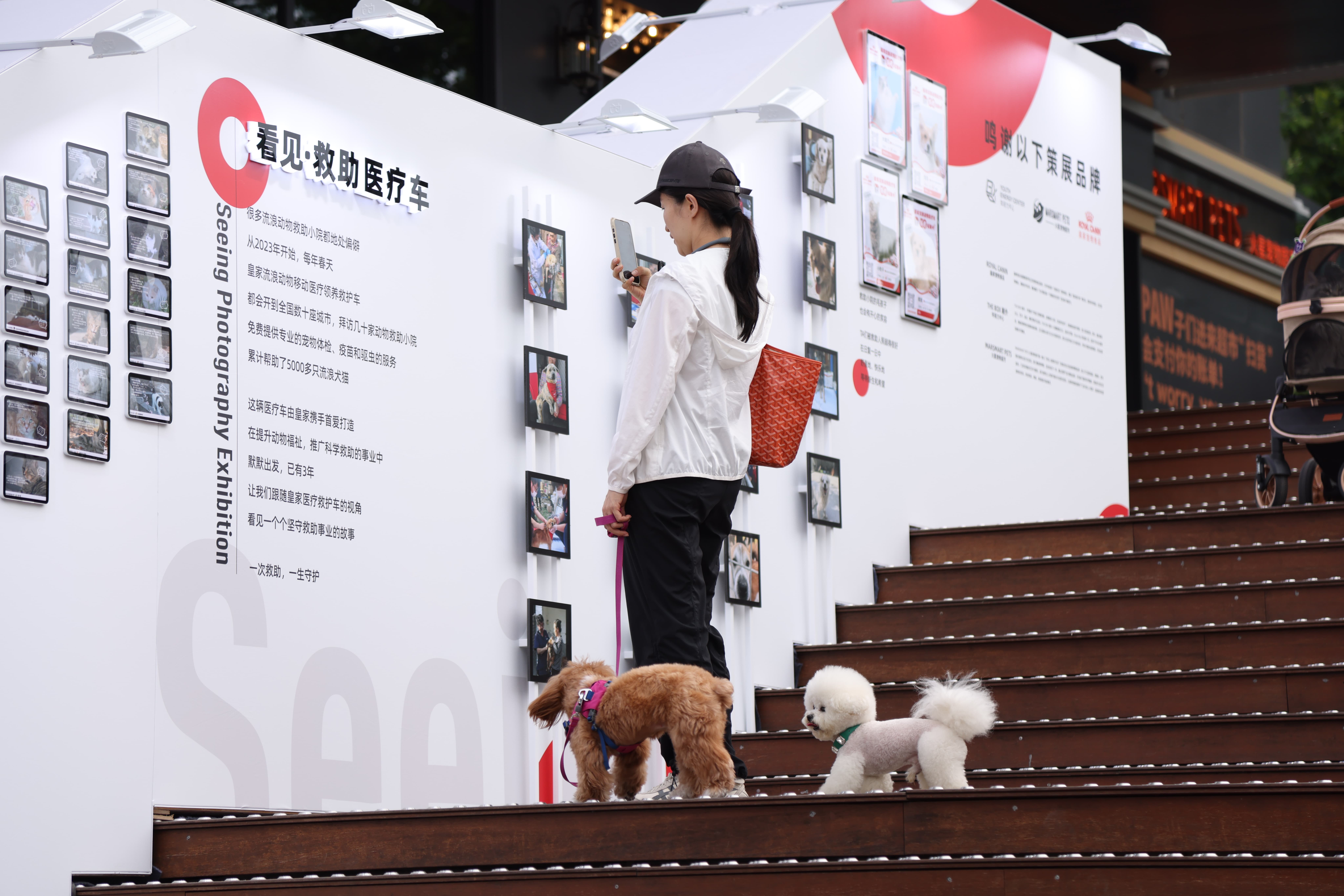公众驻足影展，“看见”皇家与动物们的点滴瞬间1.JPG