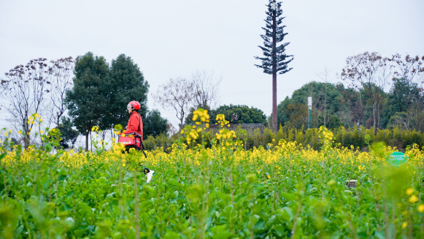 1751855595914111.png image.png