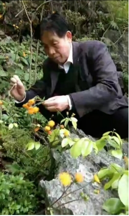 冠心病到底 能不能彻底痊愈?养生素发明成功挑战不可能! 冠心病到底 能不能彻底痊愈?养生素发明成功挑战不可能!