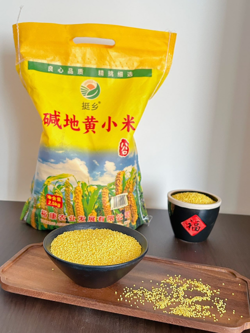 盐碱地里的黄金奇迹：一碗【挺乡碱地黄小米】，尝遍时间的味道