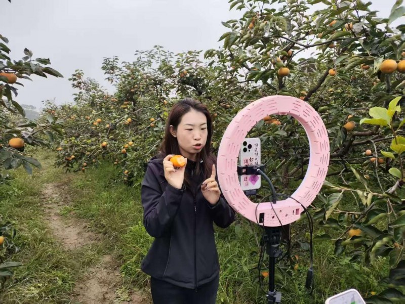 夏县乡村e镇开展“双节促消费”直播活动 助力特色农产品走向全国