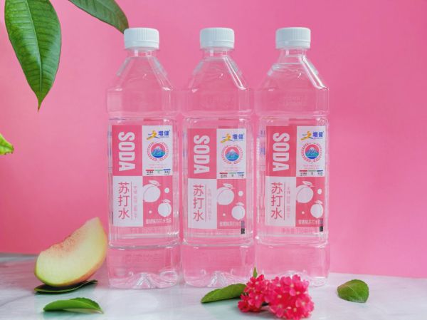 2025年无糖无汽苏打水厂家TOP3：健康饮品市场实力标杆