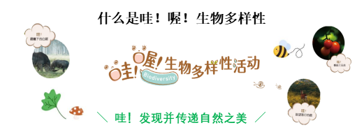索尼举行“哇!喔!生物多样性摄影比赛”,以影像记录自然的Wow瞬间