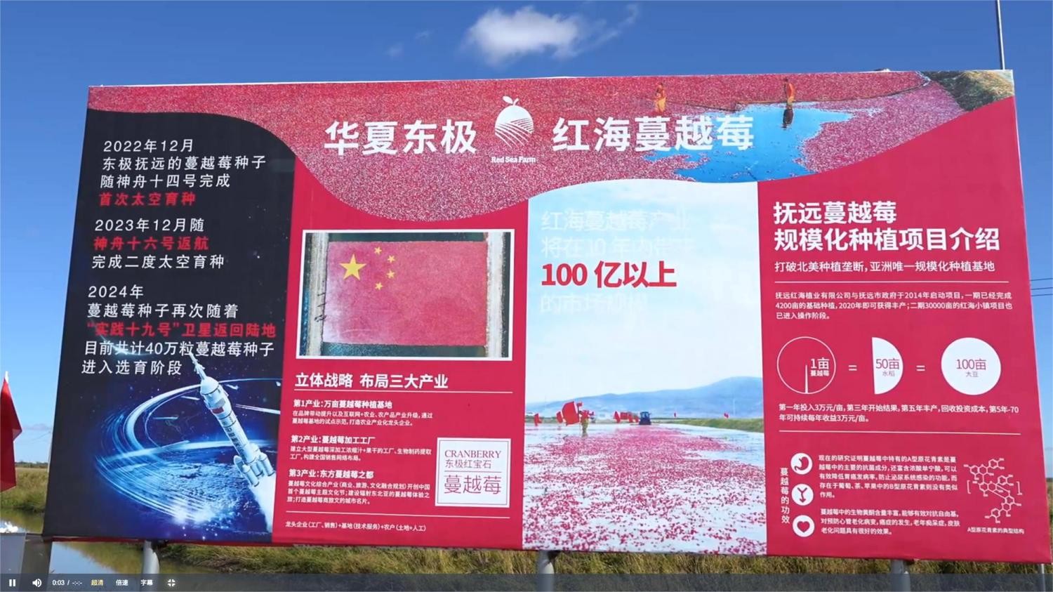 025抚远蔓越莓节在“中国唯一种植基地——红海小镇”盛大开幕