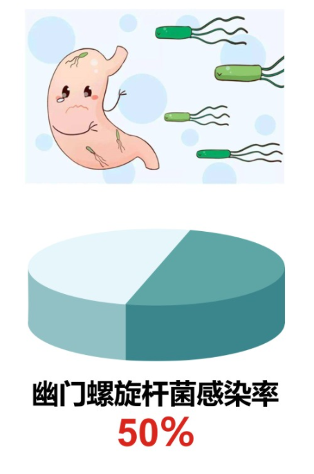 呼市东大肛肠医院：什么是幽门螺旋杆菌？怎么预防感染幽门螺杆菌？