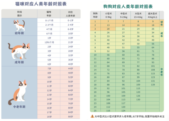 分阶段喂养是智商税吗？