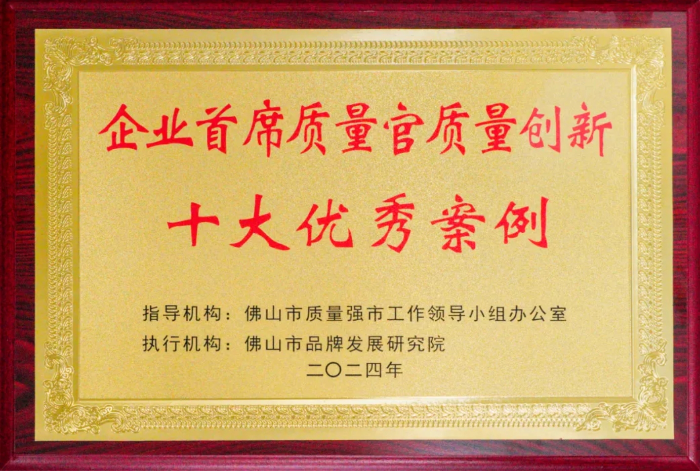 夯实内功，奋进突围 |2024年金朝阳瓷砖年中盘点