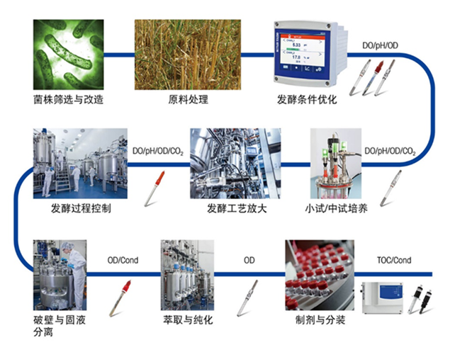 梅特勒托利多深度解析|如何破解合成生物学产业化难题？